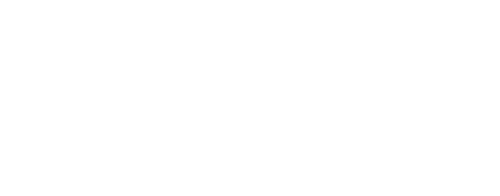 logo-detoxpro